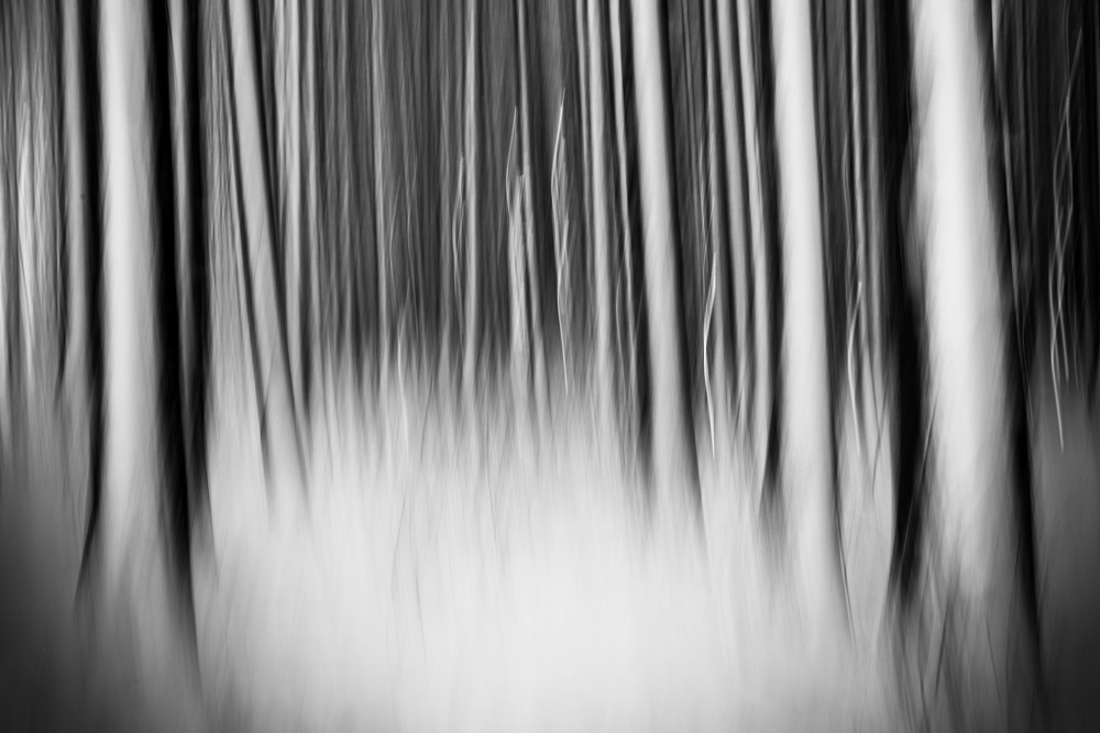 Platz 3 Josef Schafnitzel